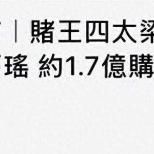 28圈下载-梁安琪带奚梦瑶扫货豪宅，同层豪掷1.68亿，拿下三套李泽楷新楼盘