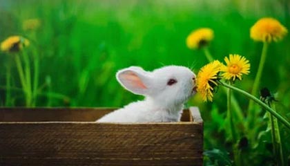 28圈.cc-进球一分钟防守一整场 终场叕失分的热刺怎么了？